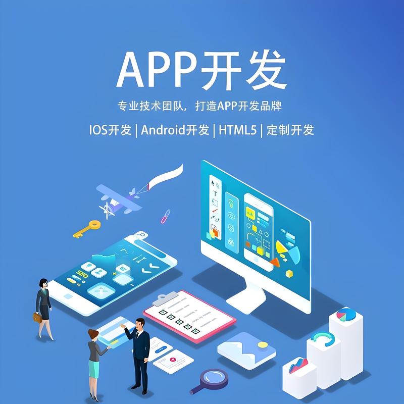 衡阳软件开发：信息化时代的加速引擎